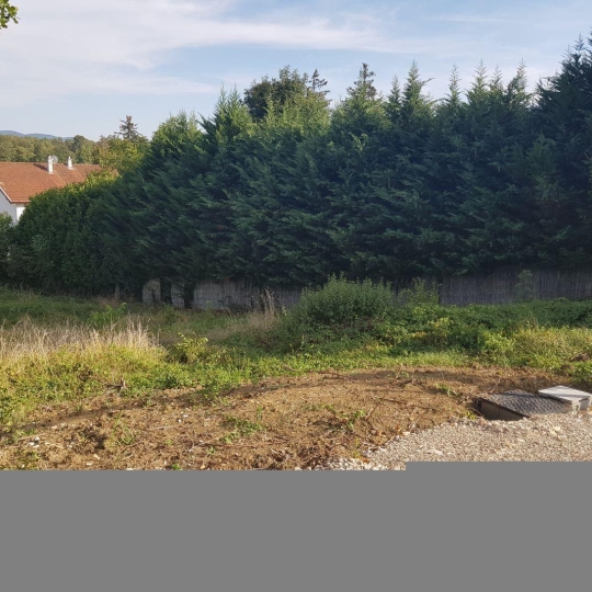  PROST immobilier : Terrain | VILLETTE-SUR-AIN (01320) | 0 m2 | 65 000 € 