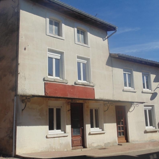  PROST immobilier : Maison / Villa | CHATEAU-GAILLARD (01500) | 276 m2 | 470 000 € 