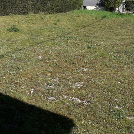  PROST immobilier : Terrain | DOMPIERRE-SUR-VEYLE (01240) | 0 m2 | 60 000 € 