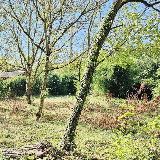  PROST immobilier : Terrain | VILLARS-LES-DOMBES (01330) | 0 m2 | 129 000 € 