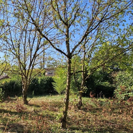  PROST immobilier : Terrain | VILLARS-LES-DOMBES (01330) | 0 m2 | 129 000 € 