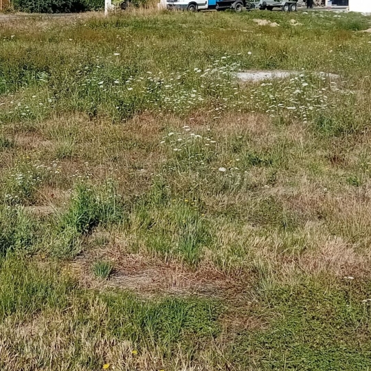  PROST immobilier : Terrain | VILLARS-LES-DOMBES (01330) | 0 m2 | 157 500 € 