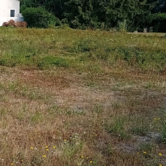  PROST immobilier : Terrain | VILLARS-LES-DOMBES (01330) | 0 m2 | 157 500 € 