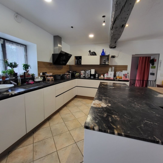  PROST immobilier : Maison / Villa | SAINT-PAUL-DE-VARAX (01240) | 358 m2 | 690 000 € 