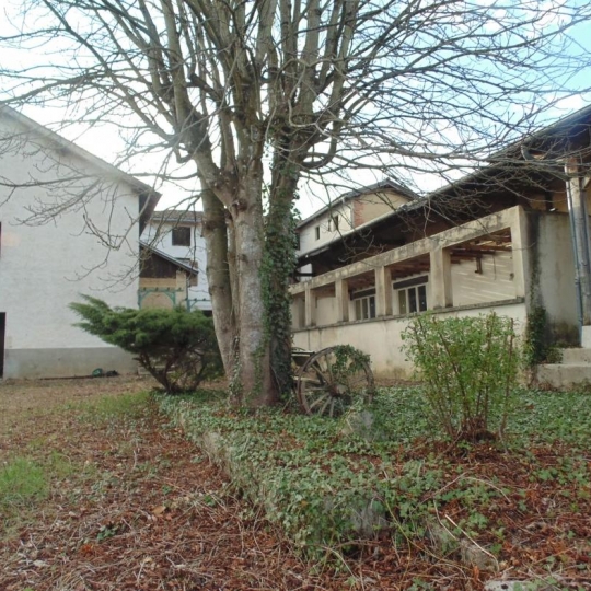  PROST immobilier : House | SAINT-PAUL-DE-VARAX (01240) | 365 m2 | 230 000 € 