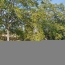  PROST immobilier : Terrain | VILLETTE-SUR-AIN (01320) | 0 m2 | 49 000 € 