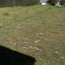  PROST immobilier : Terrain | DOMPIERRE-SUR-VEYLE (01240) | 0 m2 | 60 000 € 