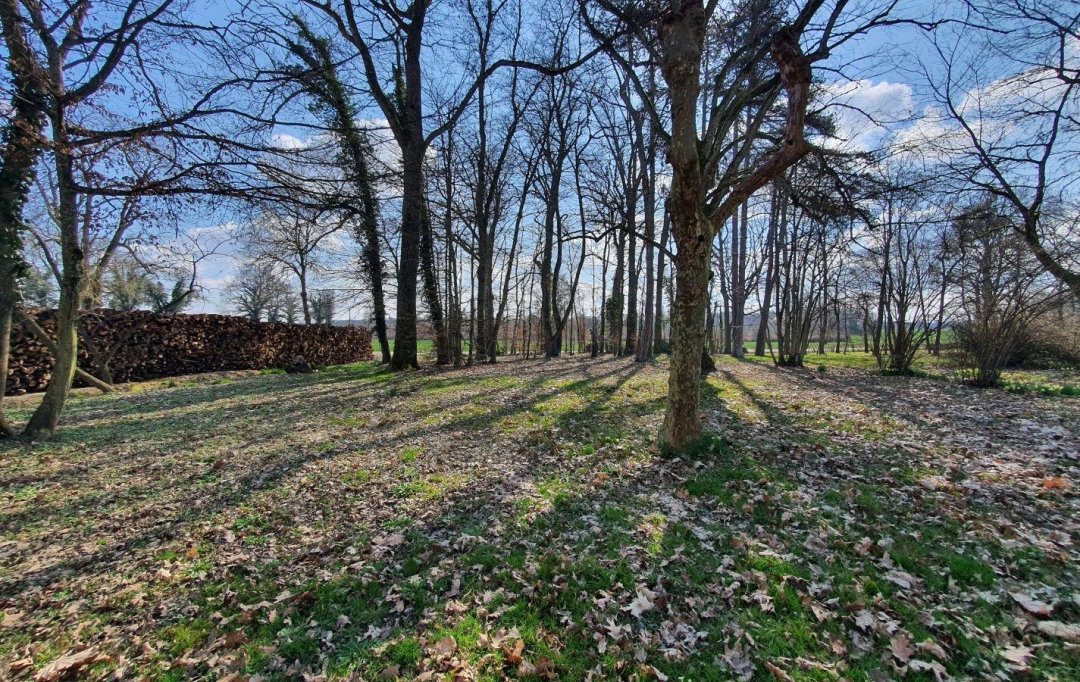 PROST immobilier : Maison / Villa | VILLARS-LES-DOMBES (01330) | 126 m2 | 1 070 € 
