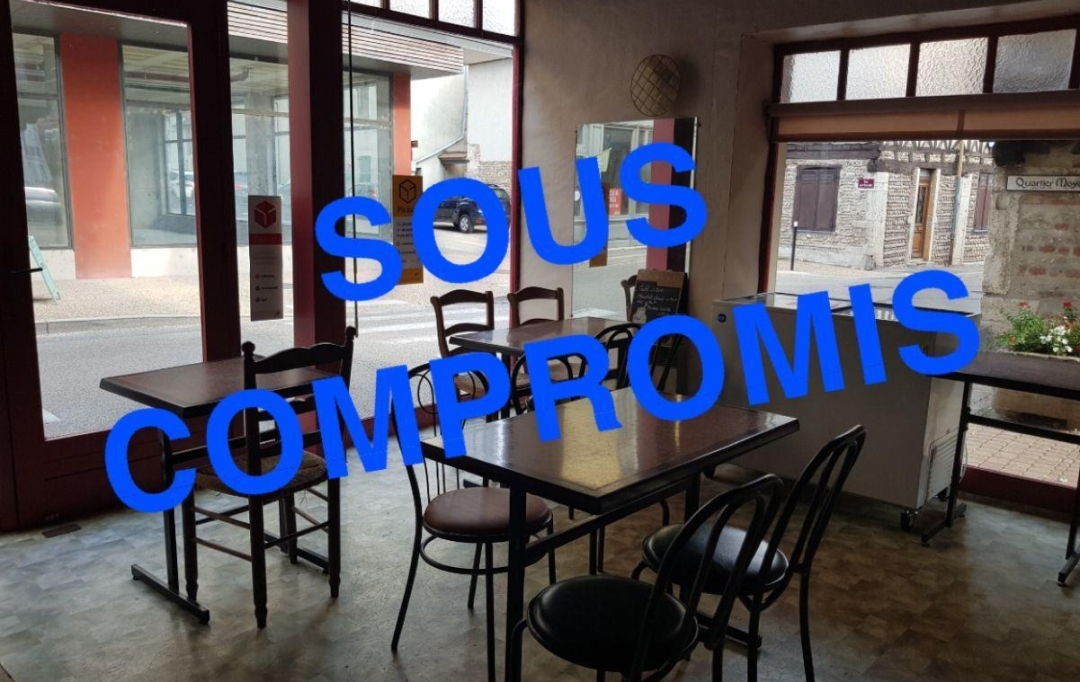 PROST immobilier : Commerces | MEXIMIEUX (01800) | 0 m2 | 55 000 € 