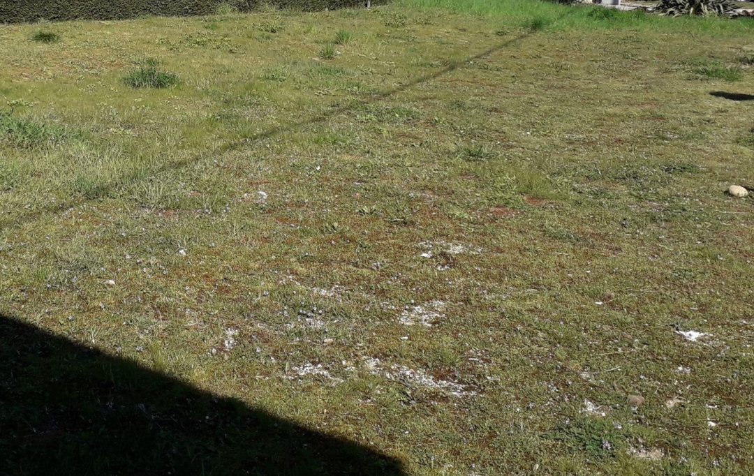 PROST immobilier : Terrain | DOMPIERRE-SUR-VEYLE (01240) | 0 m2 | 60 000 € 