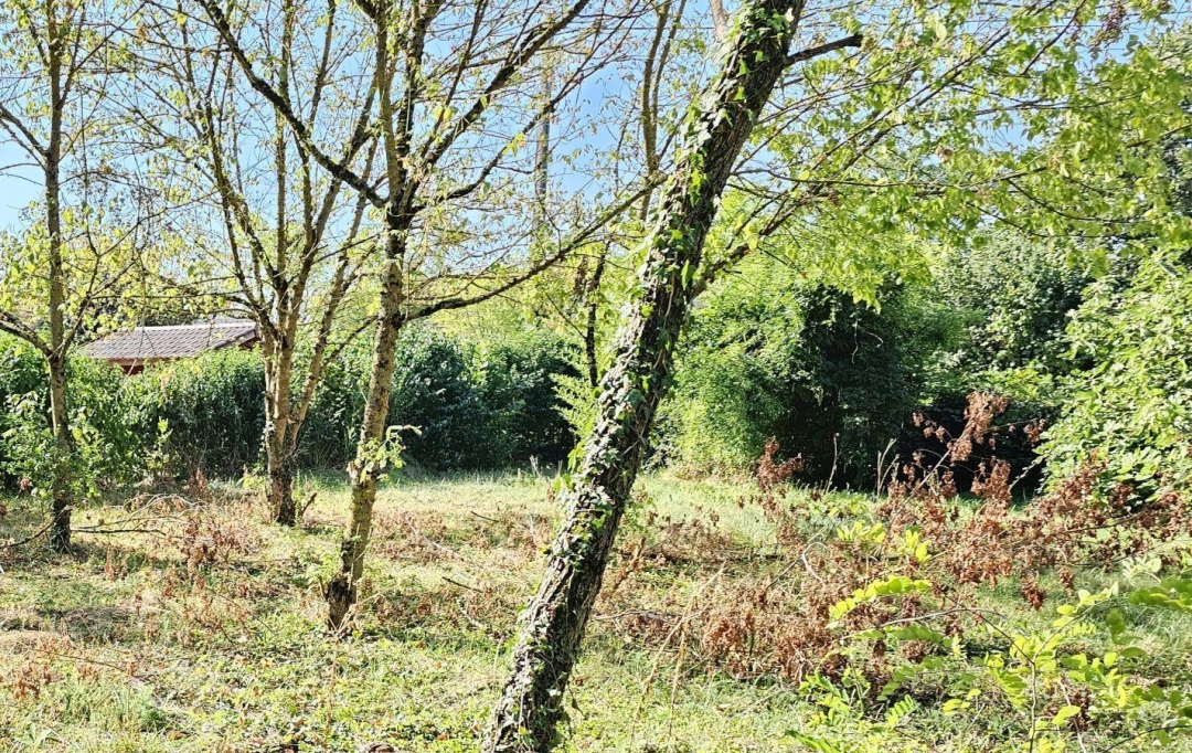 PROST immobilier : Terrain | VILLARS-LES-DOMBES (01330) | 0 m2 | 129 000 € 