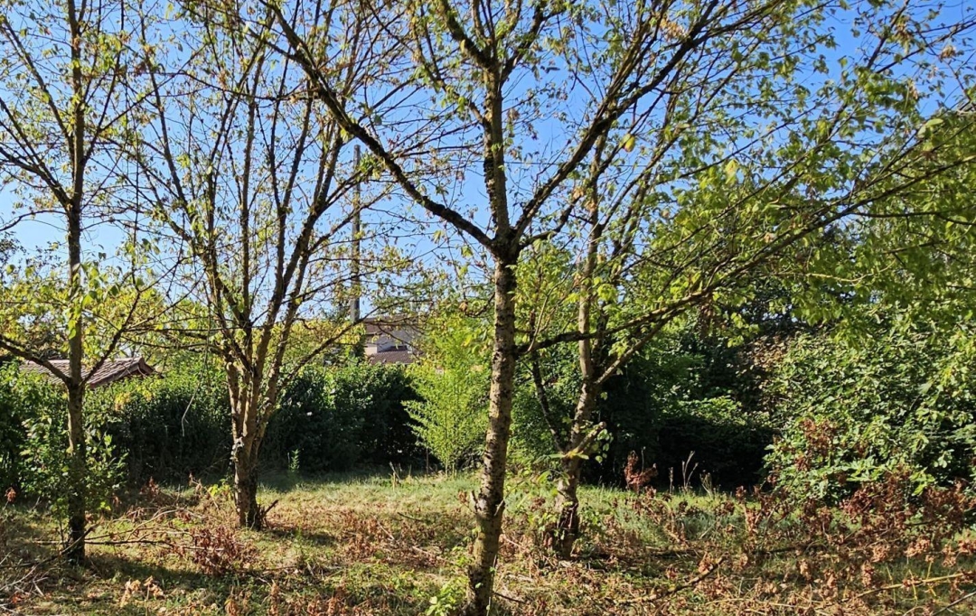 PROST immobilier : Terrain | VILLARS-LES-DOMBES (01330) | 0 m2 | 129 000 € 