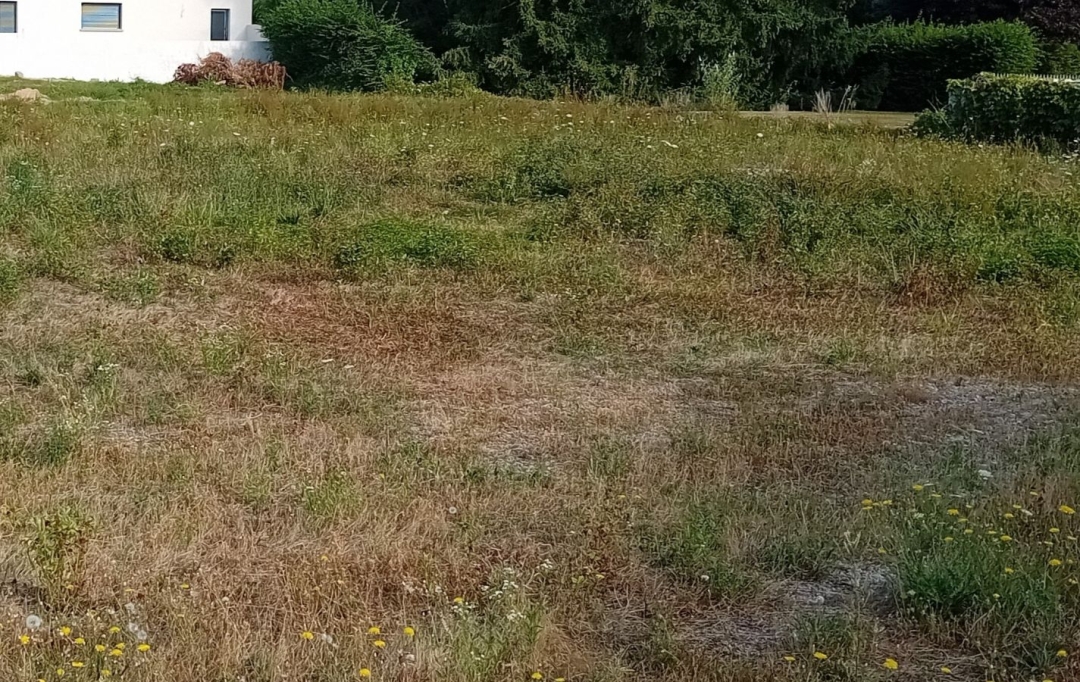 PROST immobilier : Terrain | VILLARS-LES-DOMBES (01330) | 0 m2 | 157 500 € 