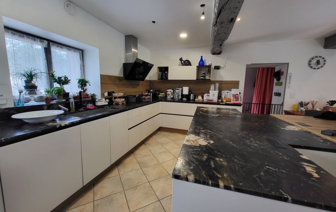 PROST immobilier : Maison / Villa | SAINT-PAUL-DE-VARAX (01240) | 358 m2 | 690 000 € 