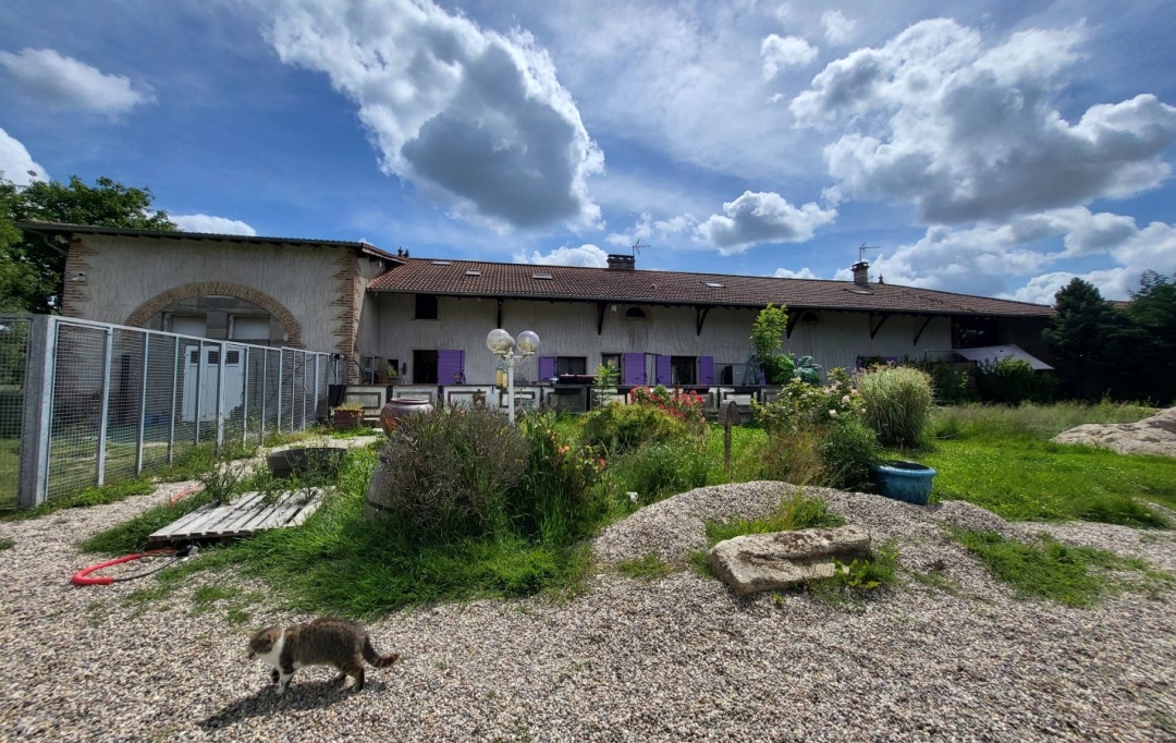 PROST immobilier : Maison / Villa | SAINT-PAUL-DE-VARAX (01240) | 358 m2 | 690 000 € 