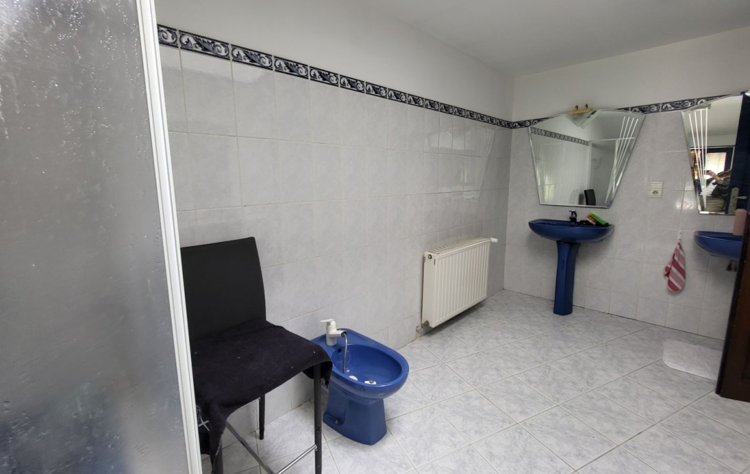 PROST immobilier : Maison / Villa | SAINT-PAUL-DE-VARAX (01240) | 358 m2 | 690 000 € 