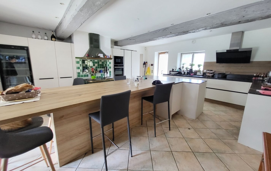PROST immobilier : Maison / Villa | SAINT-PAUL-DE-VARAX (01240) | 358 m2 | 690 000 € 