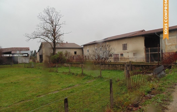 PROST immobilier : Maison / Villa | MEXIMIEUX (01800) | 550 m2 | 840 000 € 