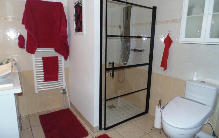 PROST immobilier : Immeuble | CHALAMONT (01320) | 489 m2 | 760 000 € 