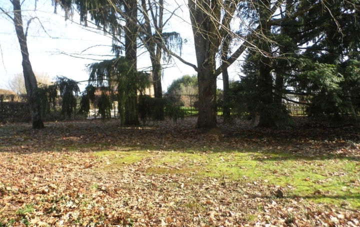 PROST immobilier : Maison / Villa | DOMPIERRE-SUR-VEYLE (01240) | 336 m2 | 595 000 € 