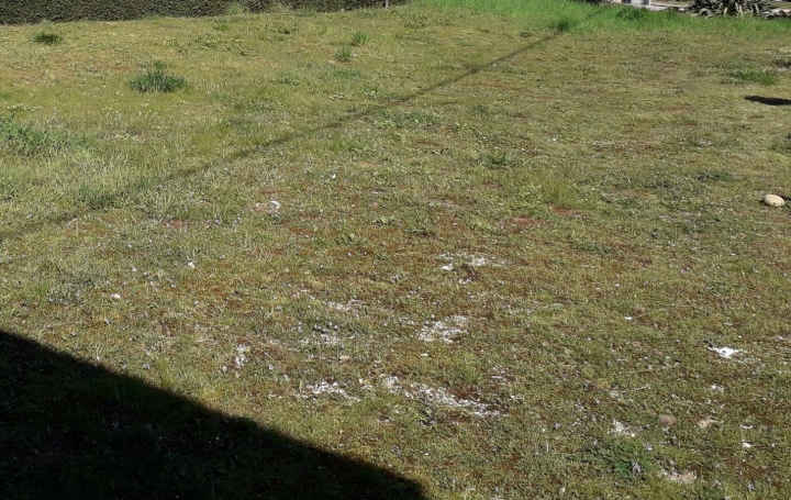  PROST immobilier Terrain | DOMPIERRE-SUR-VEYLE (01240) | 0 m2 | 60 000 € 