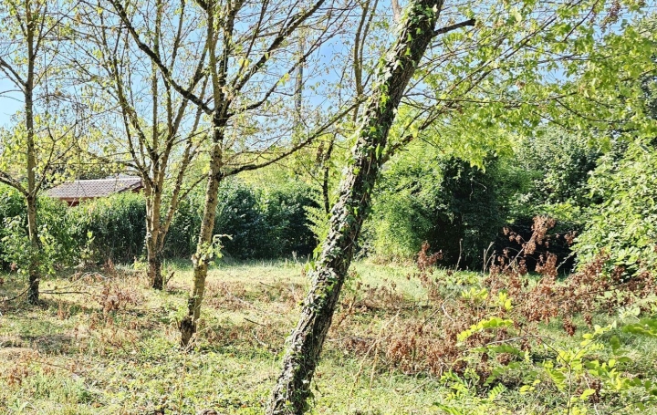  PROST immobilier Terrain | VILLARS-LES-DOMBES (01330) | 0 m2 | 139 000 € 