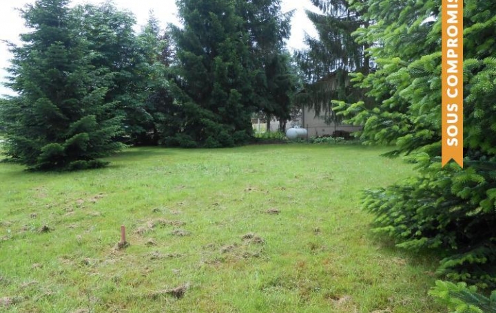 PROST immobilier : Ground | CHALAMONT (01320) | 0 m2 | 79 000 € 