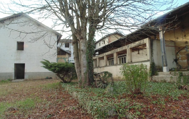 PROST immobilier : House | SAINT-PAUL-DE-VARAX (01240) | 365 m2 | 230 000 € 