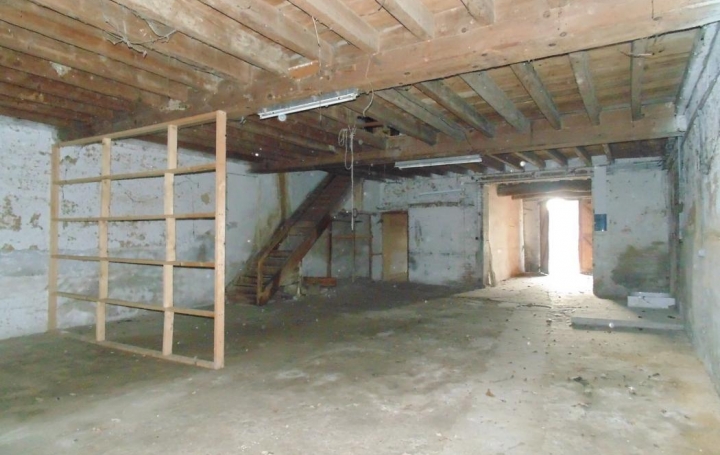 PROST immobilier : Maison / Villa | SAINT-PAUL-DE-VARAX (01240) | 365 m2 | 230 000 € 